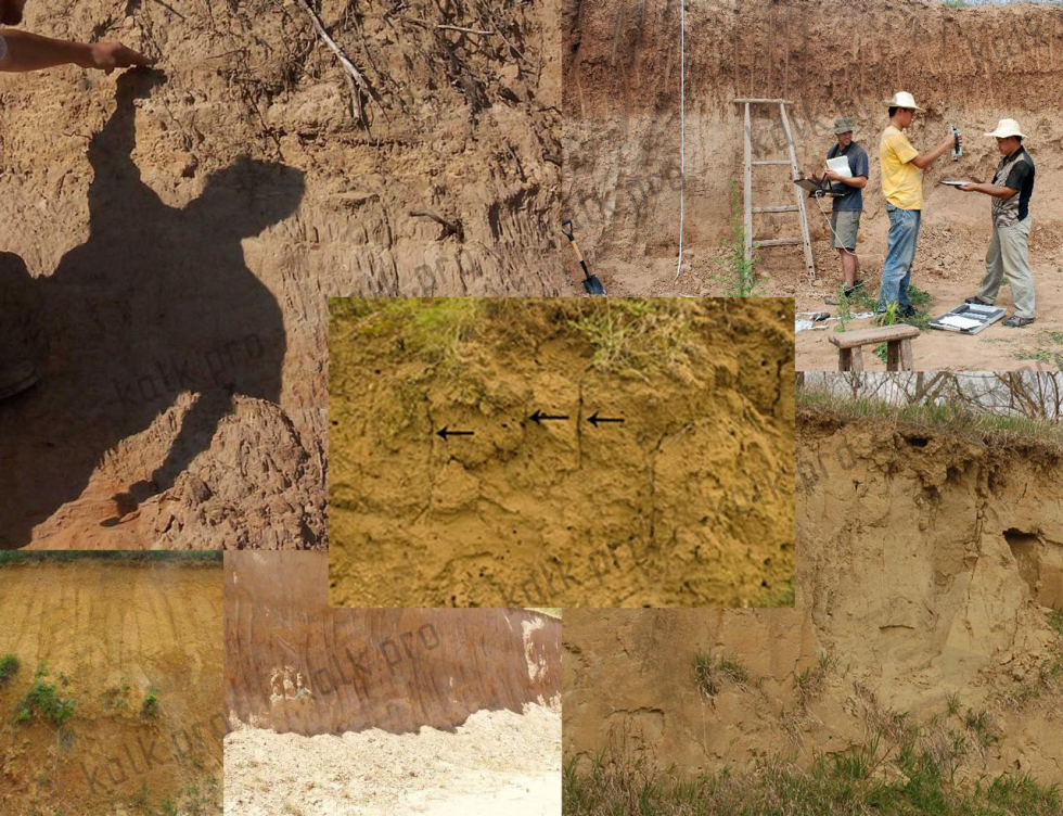 характерная структура бороздок или вертикальные канальцы на лессовых грунтах