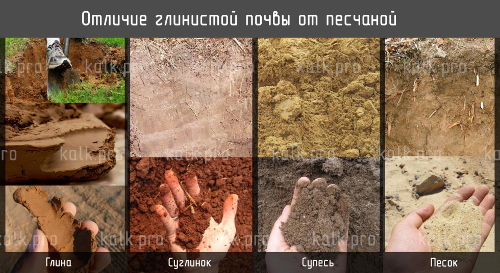 Отличие глинистой почвы от песчаной - глины, суглинки, супеси, пески